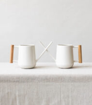 Pilea Peperomioides - Image 5