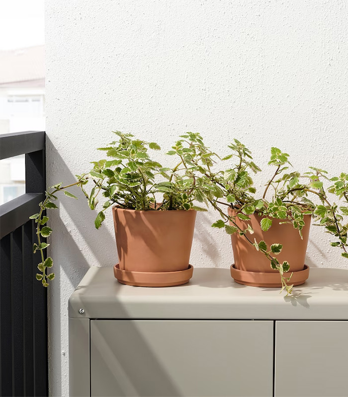 w-planters-7-0 Brunbar - Image 1